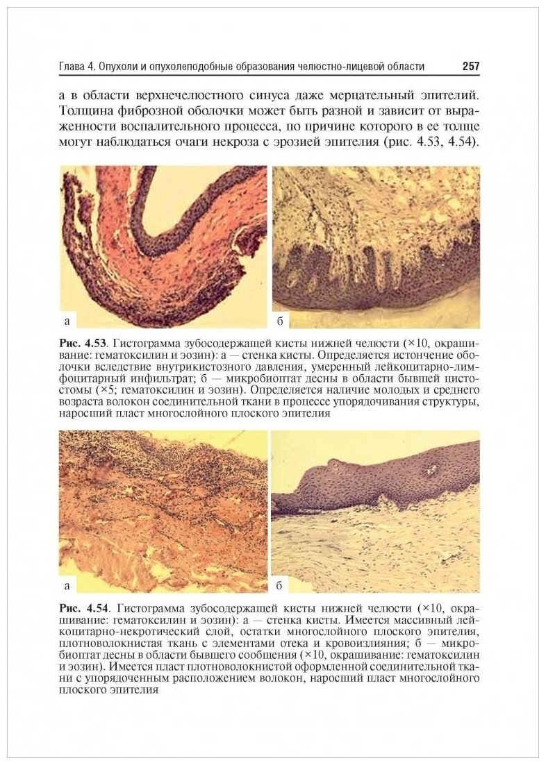 Стоматология. Учебник для ВУЗов - фото №9