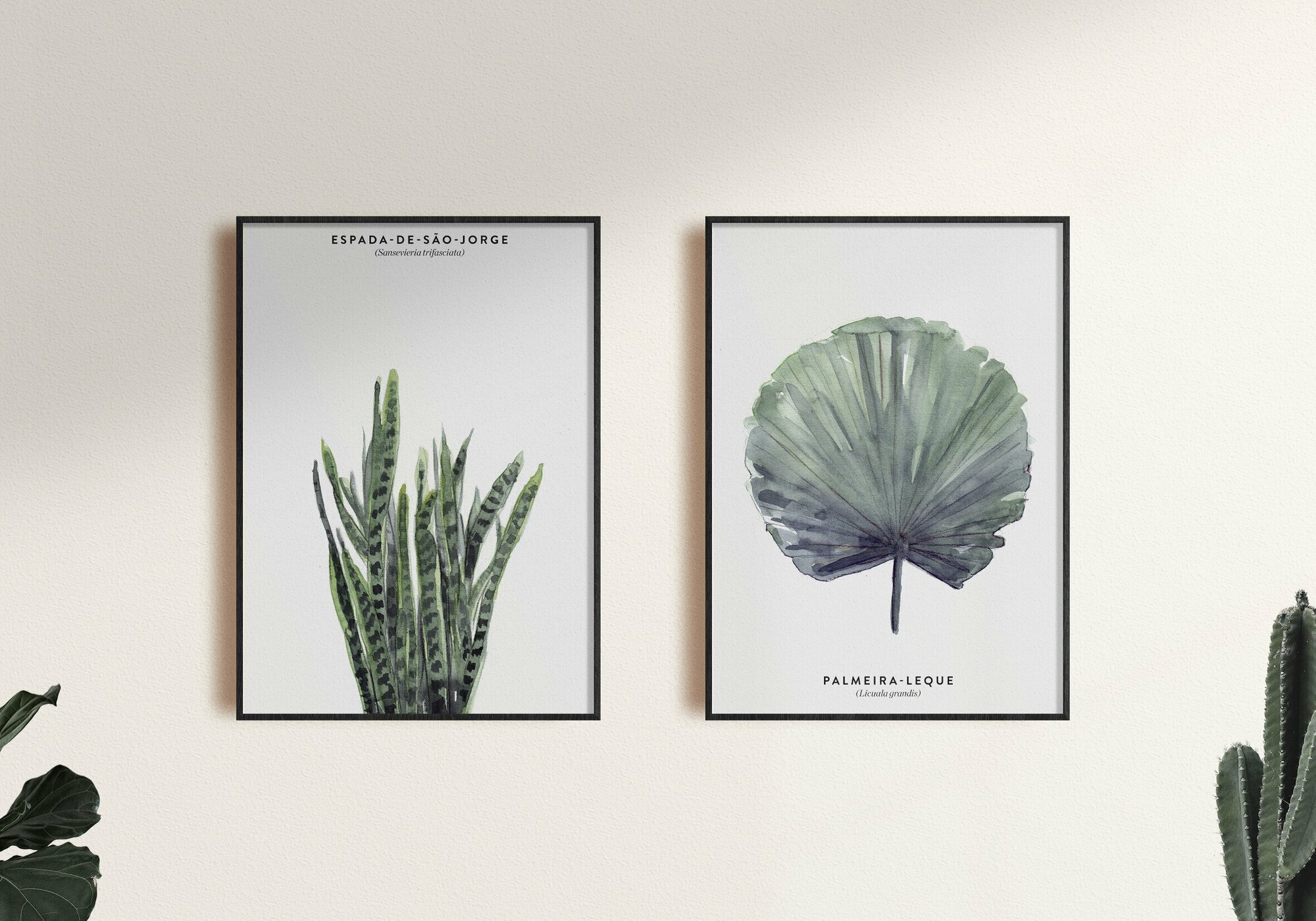 Набор плакатов "Ботаника" 2 шт. / Набор интерьерных постеров формата А4 (21х30 см) c черной рамкой