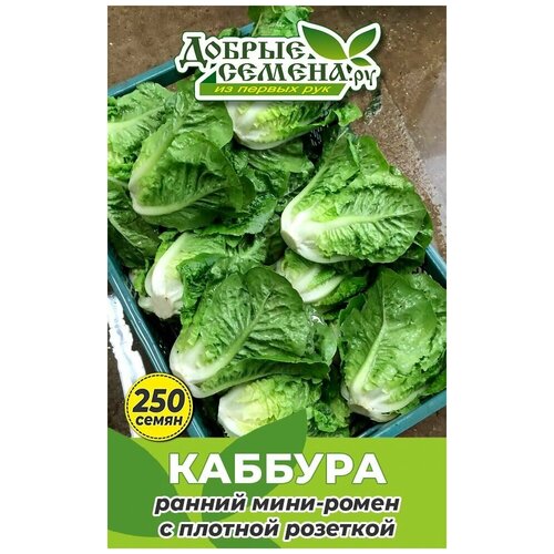 Семена салата Каббура - 250 шт - Добрые Семена. ру