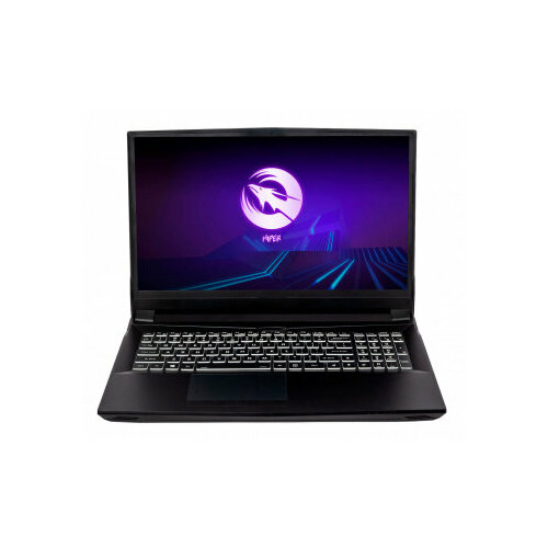 Ноутбук Hiper G16 Core i7 11700 32Gb SSD2Tb NVIDIA GeForce RTX 3070 8Gb 161 IPS FHD 1920x1080 Windows 11 Professional black WiFi BT Cam 5040mAh G 14832000₽