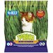 Смесь семян злаковых трав АВЗ (агроветзащита) АВЗ травка для кошек, 30 г/пак.