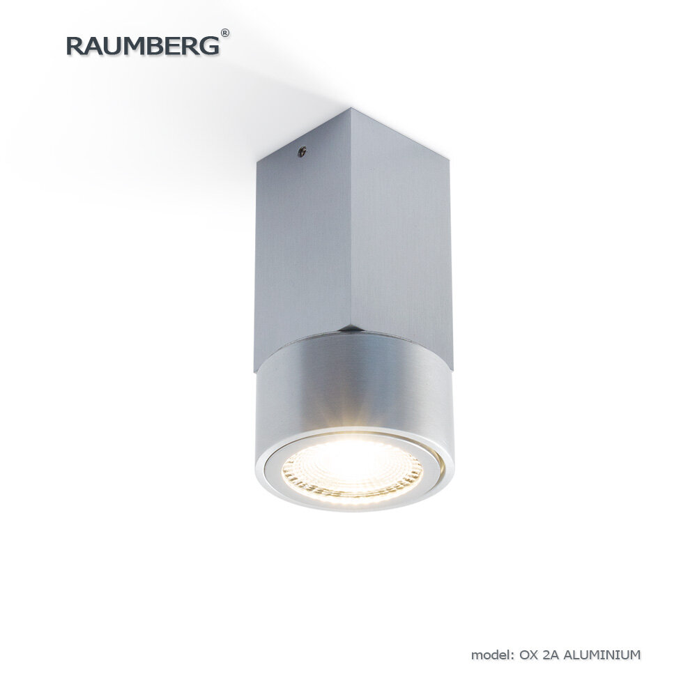 Накладной неповоротный потолочный светильник RAUMBERG OX2 A aluminium
