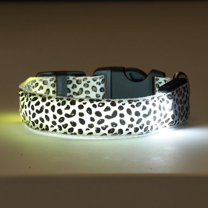 Ошейник с подсветкой "Леопард", 3 режима свечения, размер S, ОШ 22-40 х 2,5 см, белый 9772231