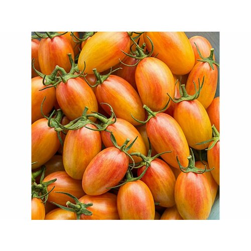 Томат Румянец Блаш (лат. Solanum lycopersicum) Семена 10шт + подарок