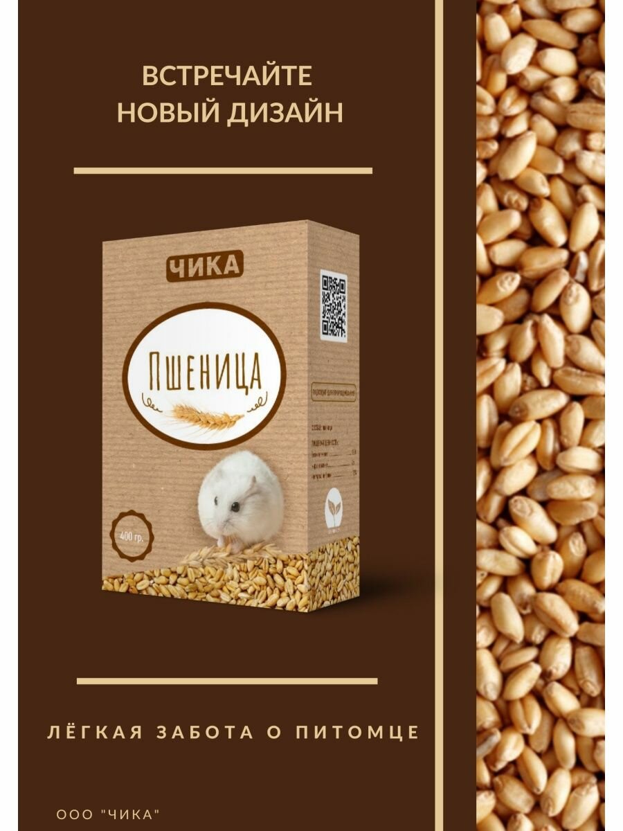 Пшеница