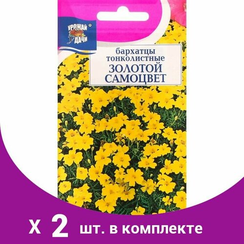 Семена цветов Бархатцы тонколистные 'Золотой Самоцвет', 0,1 г (2 шт)