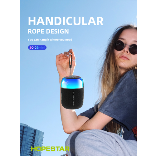 Беспроводная колонка HOPESTAR SC-02 MINI 10W черный 240000₽