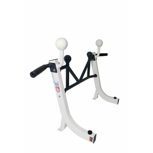 Турник настенный со сферами HL021 9800₽