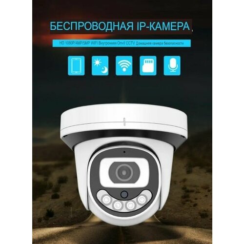 Видеокамера купольная 2MP WiFi Микрофон Динамик Camhipro