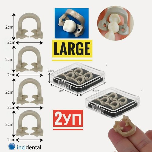 Изображение товара ИнсиКламп универсальный набор кламмеров коффердама для зубов , Стоматологические матричные , Матрицедержатель - InciClamp / Rubber dam clamp , Large . Инсидентал . Набор 2 уп , Размер : Большой .