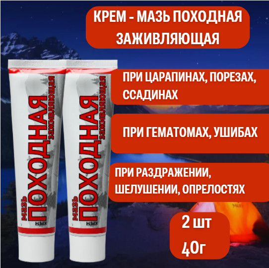 Мазь Походная заживляющая 40 г 2 шт