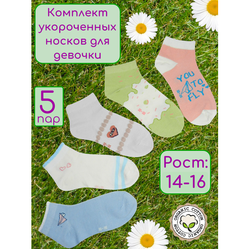 Носки Фенна 5 пар, размер 20-25, голубой, зеленый