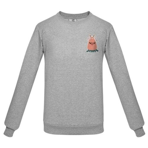 фото Толстовка «любоф-моркоф ii», серый меланж, размер s coolcolor