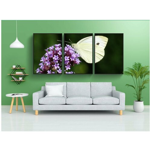 фото Набор модулных постеров для интерьера "аргентинская вербена, белый, вербения бонариенсис" 60x90 см. в тубусе, без рамки lotsprints