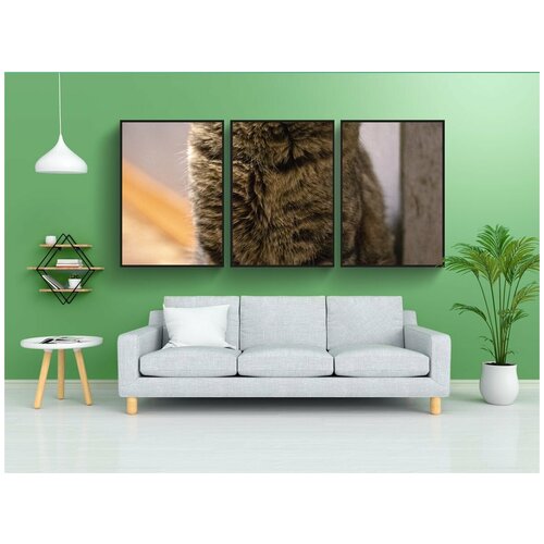 фото Набор модулных постеров для интерьера "кошка, домашний питомец, животное" 60x90 см. в тубусе, без рамки lotsprints