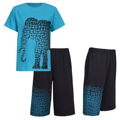 Комплект (футболка/шорты) для мальчика, цвет синий, рост 116 см