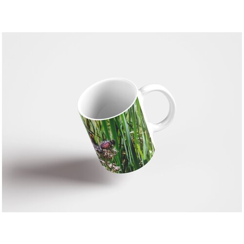 фото Кружка "бабочка, цветок, насекомое" 320 мл lotsprints