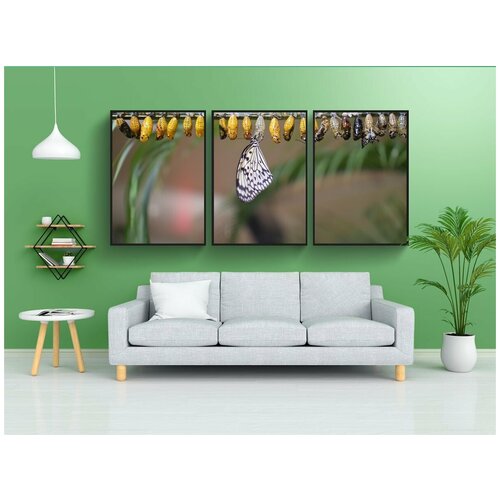 фото Набор модулных постеров для интерьера "жизненный цикл бабочки, природа, насекомое" 60x90 см. в тубусе, без рамки lotsprints