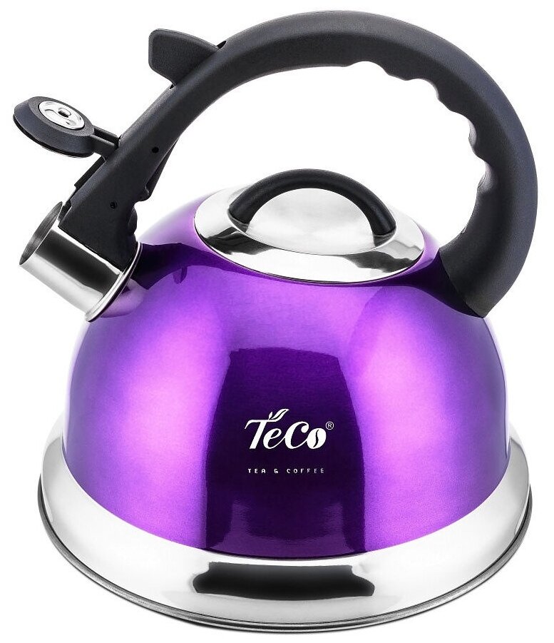 фото Чайник 3,0 л. TECO со свистком, TC-115