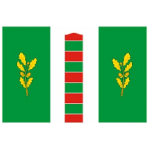 фото Флаг пограничного района цтп «феникс»