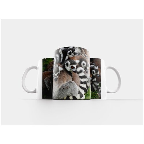 фото Кружка "животные, зоопарк, дикий 320 мл. белая" lotsprints