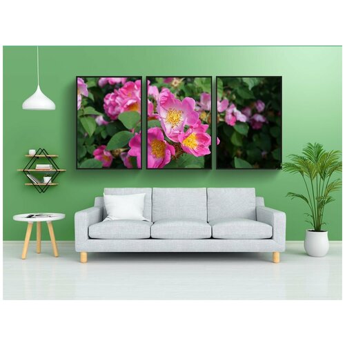 фото Набор модулных постеров для интерьера "шиповник, цвести, роза" 60x90 см. в тубусе, без рамки lotsprints