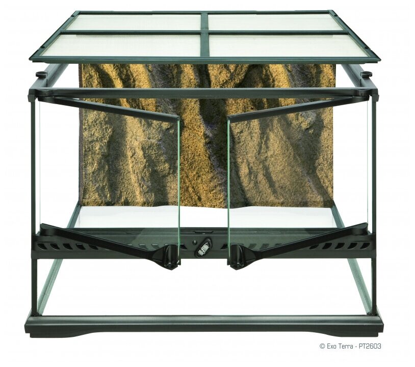 Террариум EXO TERRA Natural Terrarium Small из силикатного стекла (45х45х30см) PT2603 - фотография № 2
