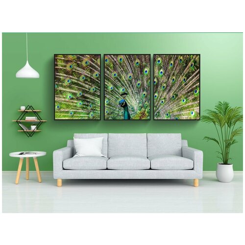 фото Набор модулных постеров для интерьера "павлин, птица, синий павлин" 60x90 см. в тубусе, без рамки lotsprints