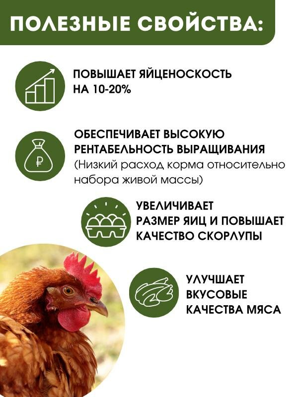 Полнорационный комбикорм для кур несушек РОСТ (ПК-4), корм для сельскохозяйственных птиц 10 кг - фотография № 4