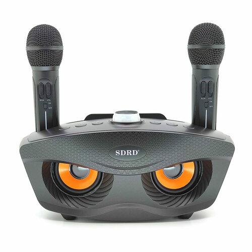 Беспроводная караоке система сова SD-306 Черный 590000₽