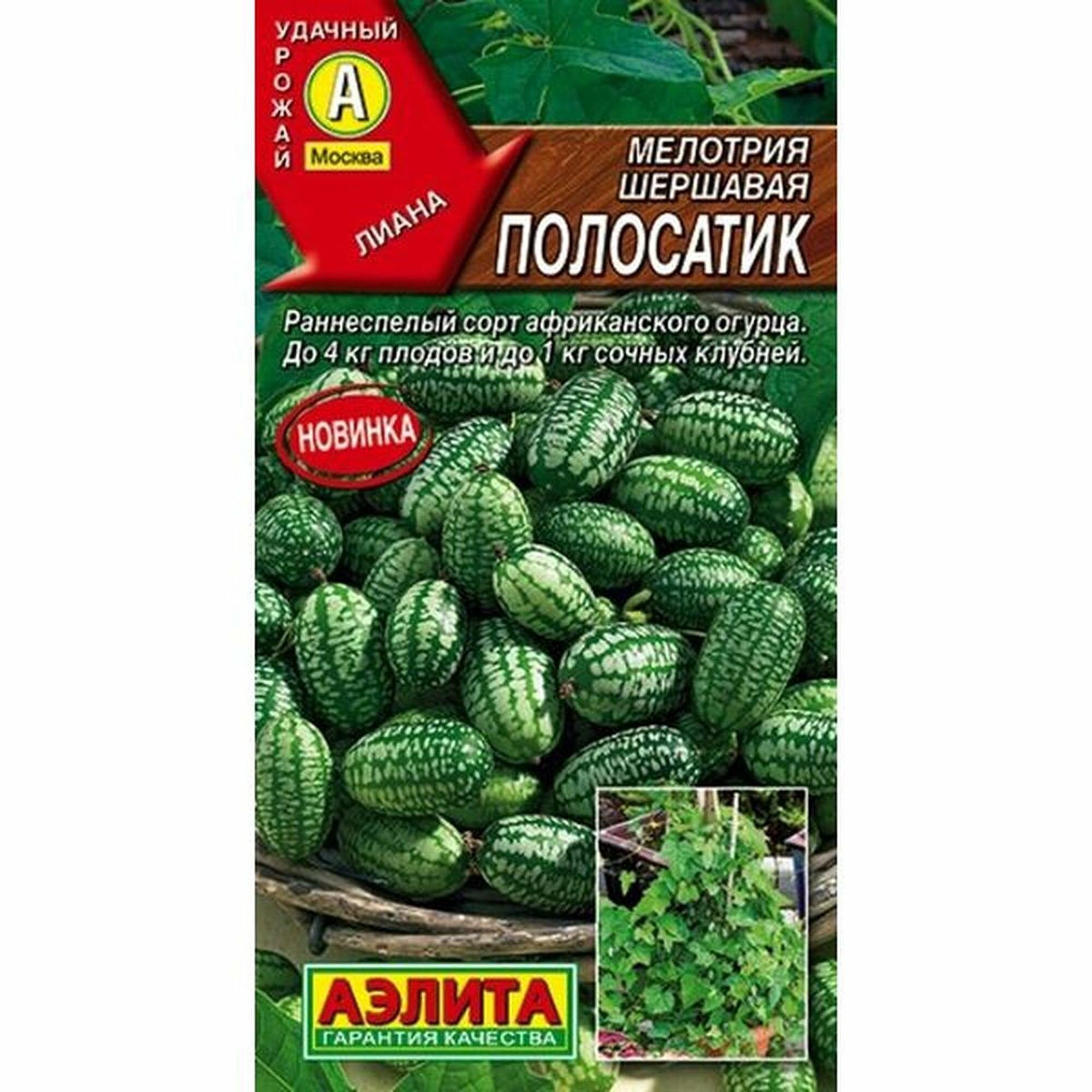 Семена Мелотрия Мышиная дыня Полосатик Аэлита 1 пачка - 003г 10 семян