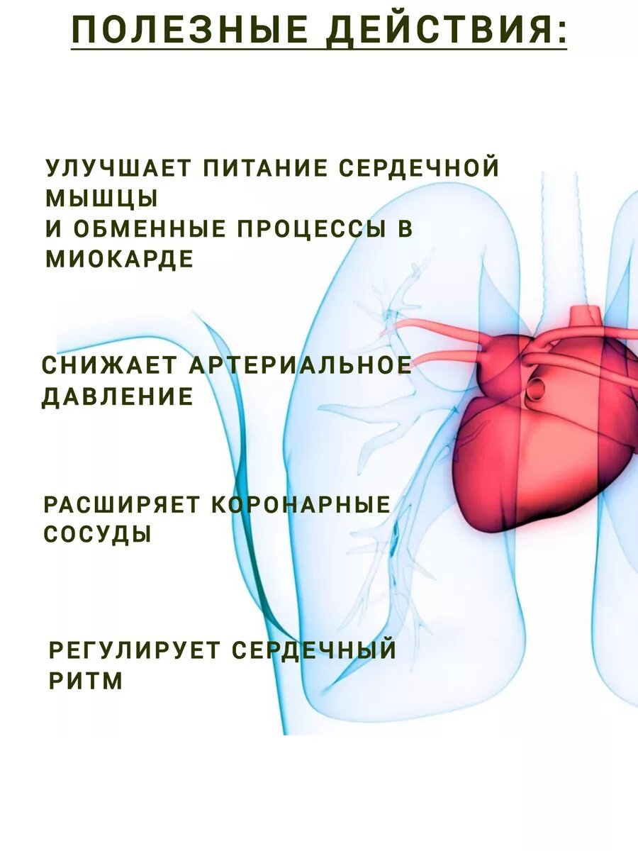 Картинки Травяной сбор Алфит 12 Сердечный