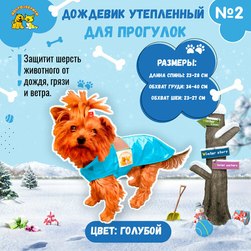 Дождевик для собак Доброзверики, №2, утепленный, голубой (длина спины 23-28 см)