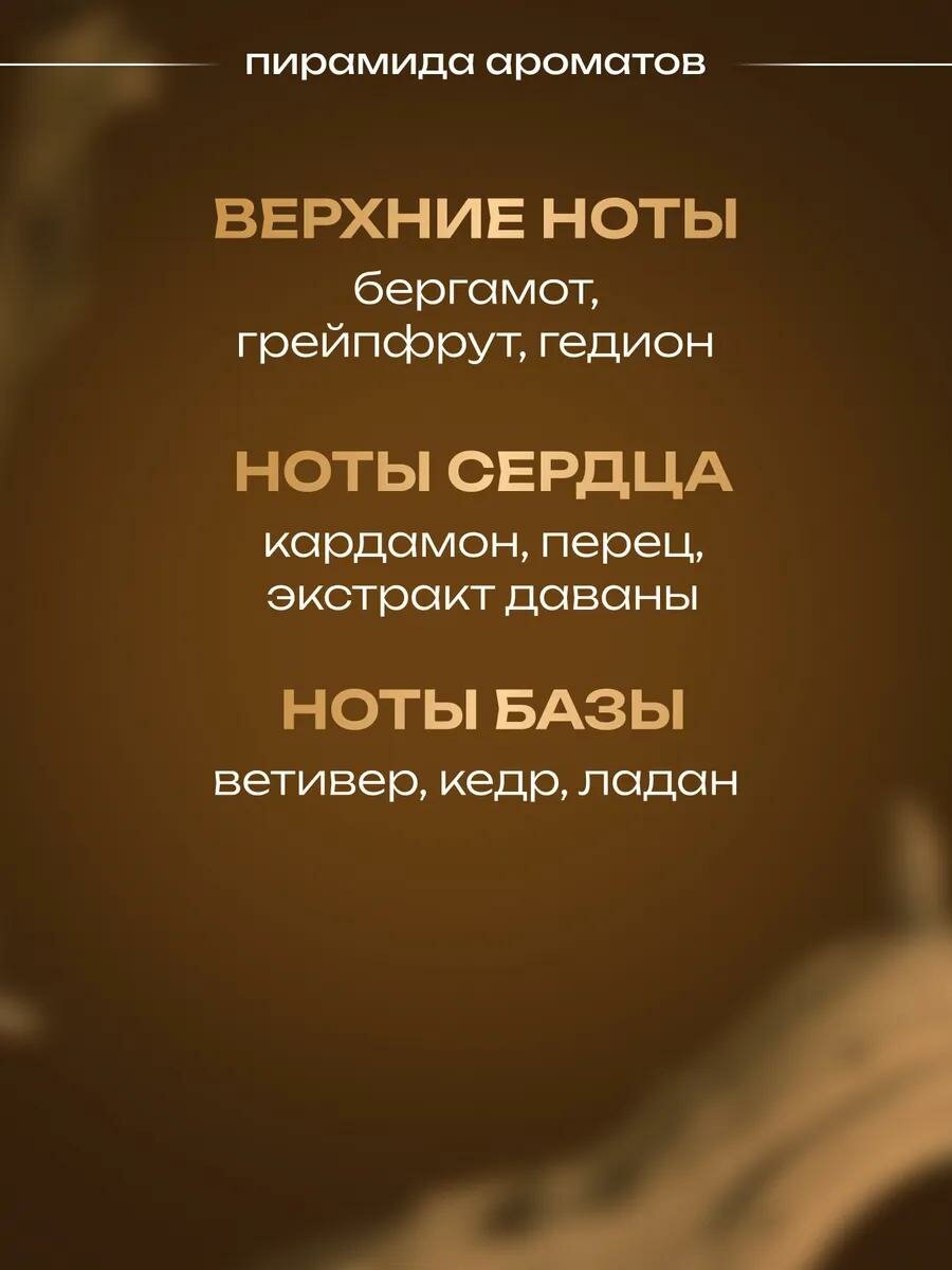 Туалетная вода мужская Absolute Blue Label, 100 мл, древесный пряный аромат — фото 1