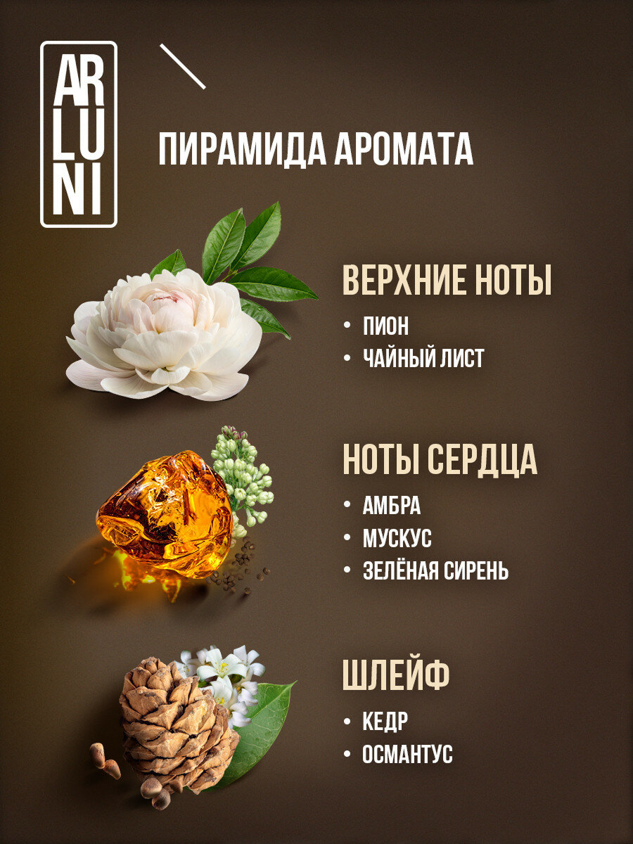 Изображение Arluni Освежитель воздуха для туалета, ароматизатор для дома от неприятных запахов, парфюмированный спрей, Амбра, 300 мл