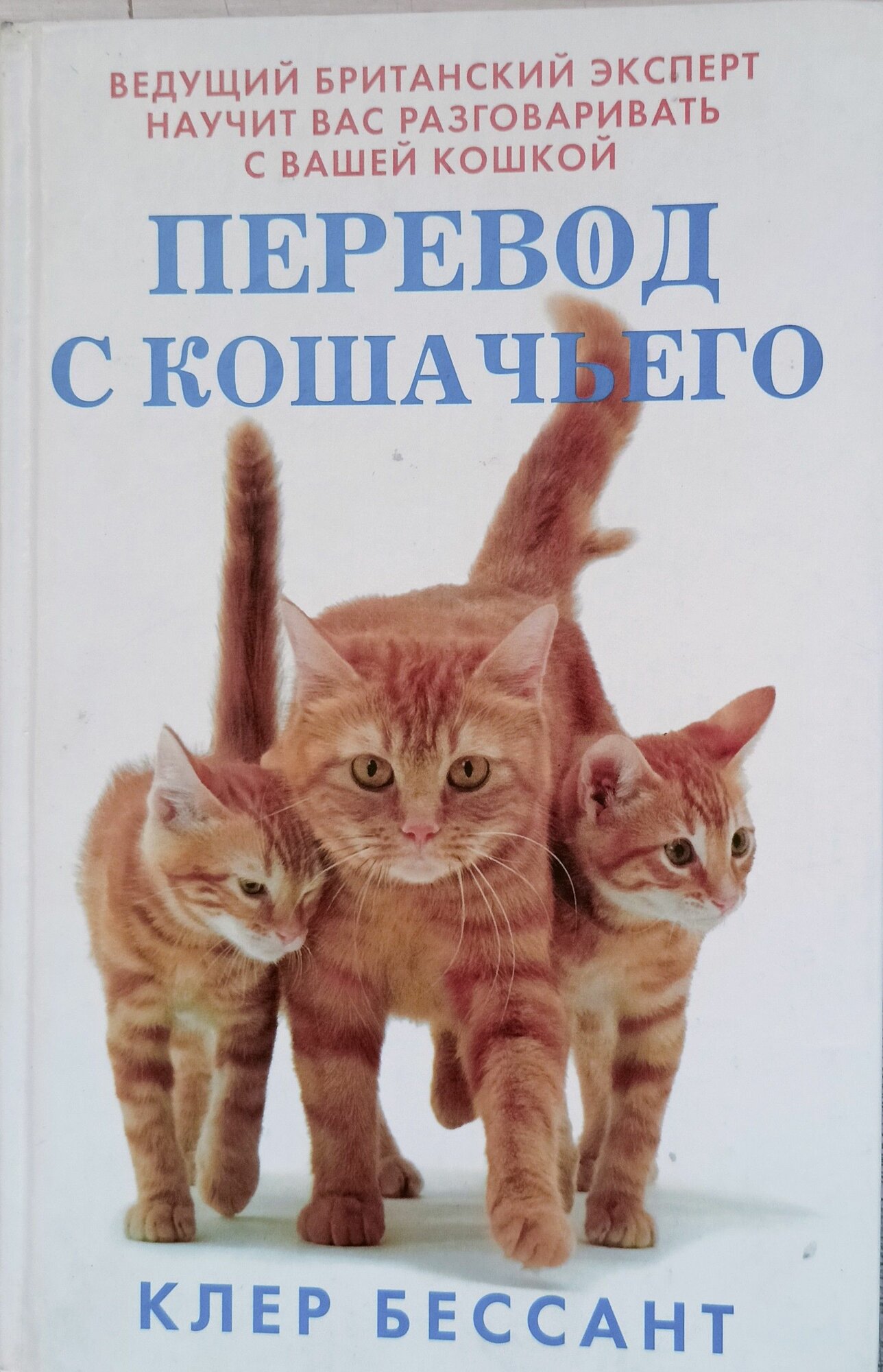 Перевод с кошачьего: Научитесь разговаривать со своей кошкой