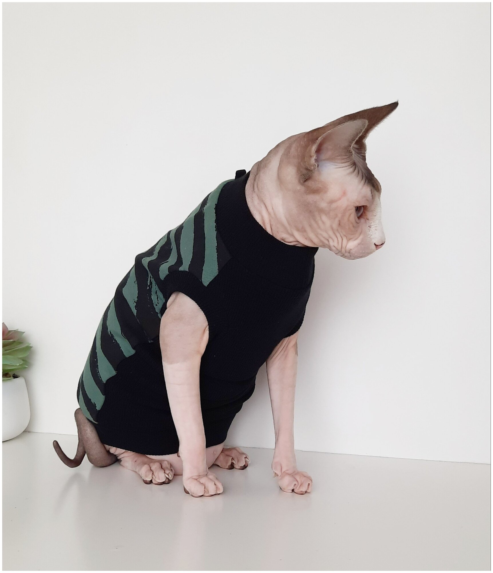 Свитшот для кошек, размер 40 (длина спины 40см), цвет черно-зеленый/ толстовка свитшот свитер для кошек сфинкс / одежда для животных - фотография № 8