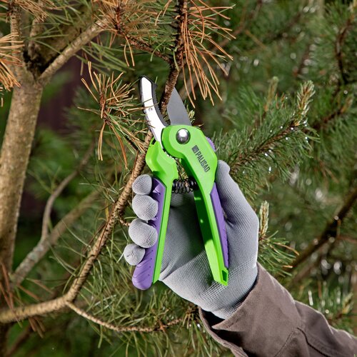 фиолетовый, зеленый, фиолетовый