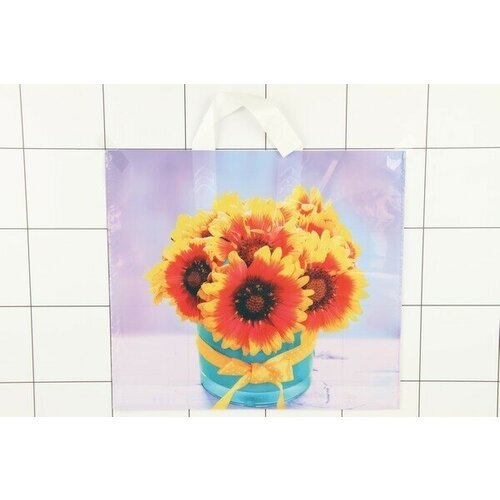 Пакет полиэтиленовый с петлевой ручкой 