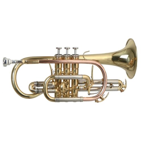 ROY BENSON CR-302 Bb корнет корнет bb carolbrass ccr 3880 gss bb l