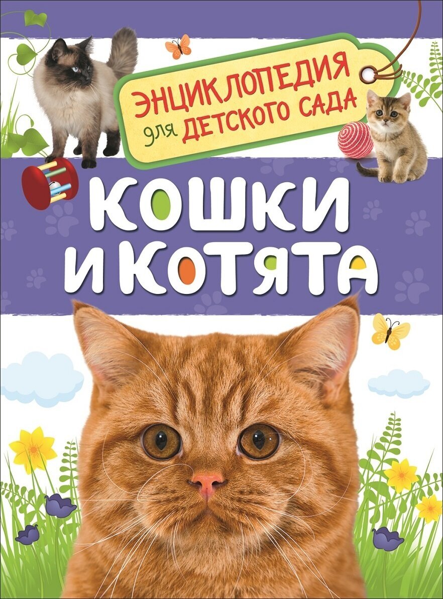 ЭнцДляДетСада Кошки и котята (Мигунова Е. Я.)