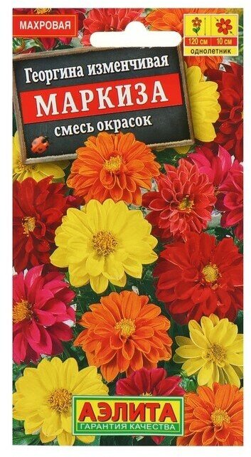 Семена цветов Георгина махровая "Маркиза", смесь окрасок, О, 10 шт