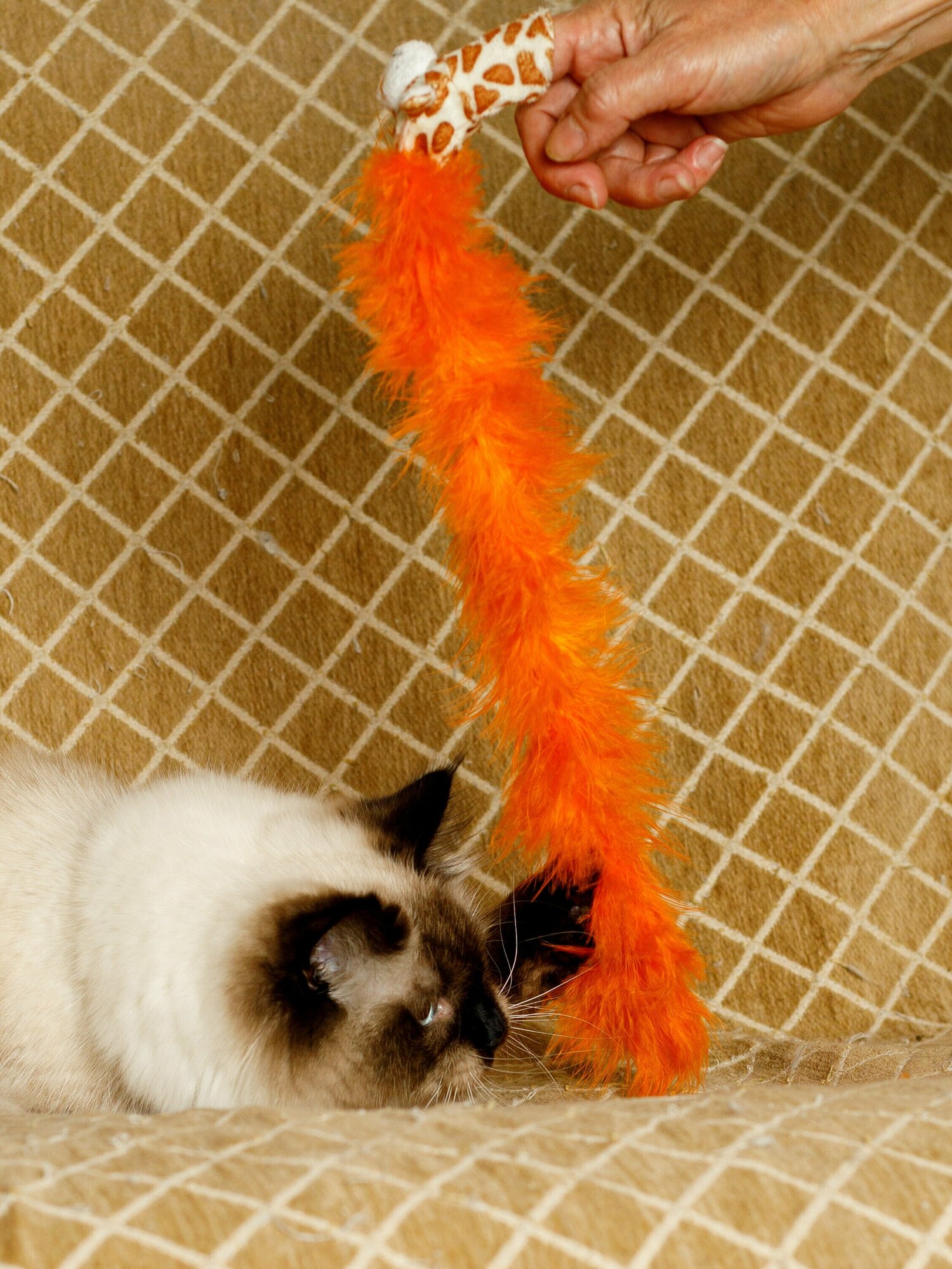 Игрушка для кошек и котят Japan Premium Pet пушистая дразнилка в виде жирафа, цвет оранжевый. - фотография № 5