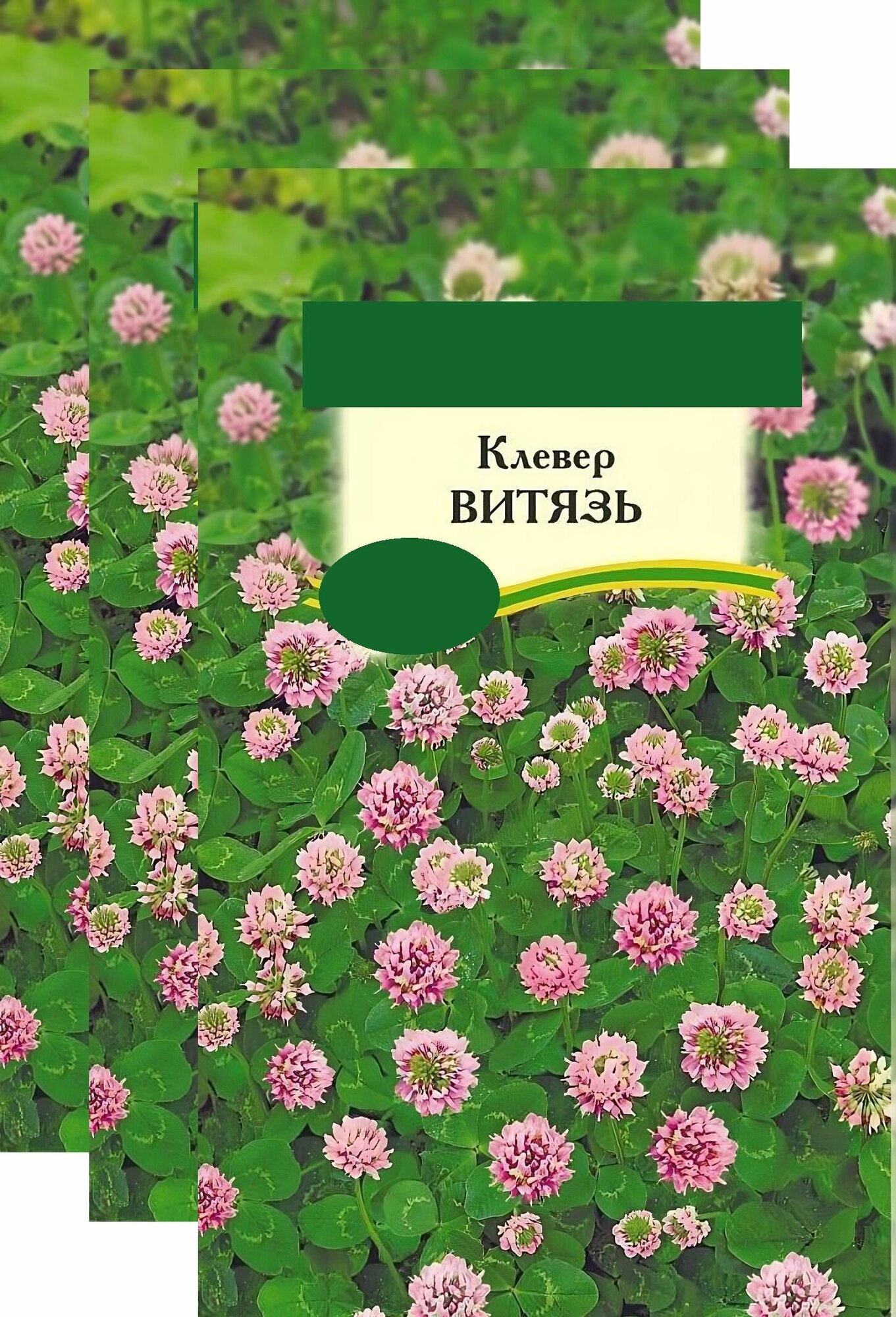 Клевер луговой "Витязь" 3x20 г, сидерат. Сорт хорошо растет на любых почвах, не требует частой стрижки и удобрений, красив, устойчив к вытаптыванию