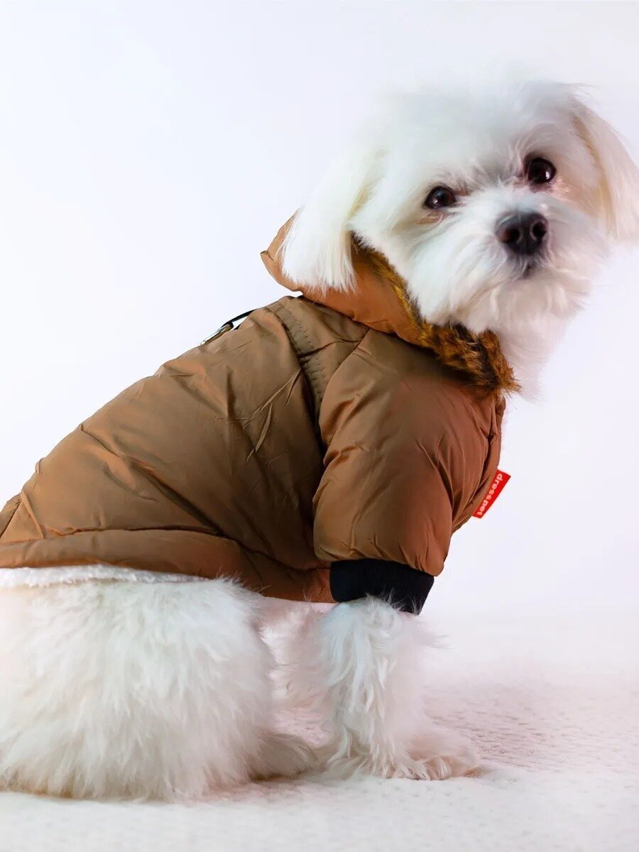Куртка для собак мелких пород Arnydog Полюс коричневая, XL(36-40 см). - фотография № 3