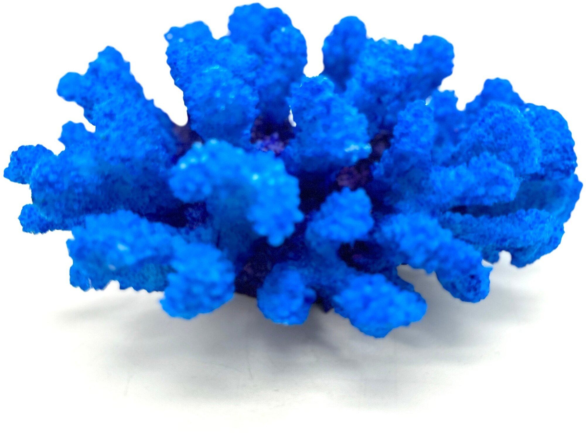 Коралл искусственный синий - фотография № 2