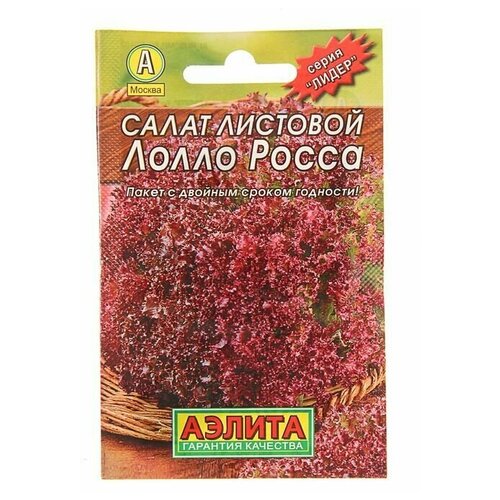 Семена Салат Лолло Росса листовой Лидер, 0,5 г , 14 упаковок семена салат листовой лолло росса серия русский огород 1 г