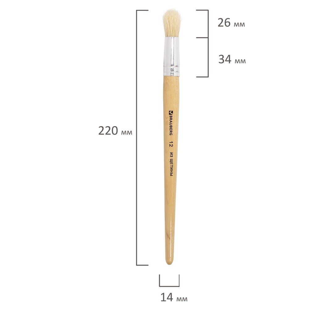 Кисть BRAUBERG щетина, круглая, длинная ручка, №12, 30 шт., бежевый - фото №9
