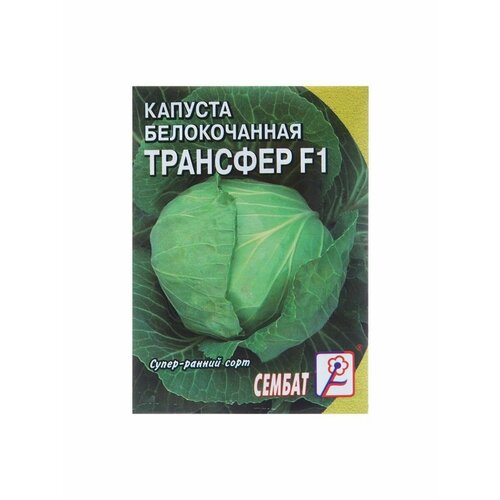 5 упаковок Семена Капуста белокочанная Трансфер F1, 0,1 г