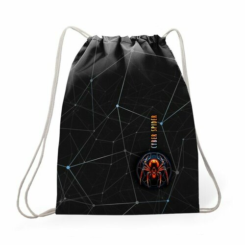 Мешок для обуви 435 х 360 мм Stavia плотность 600D с водоотталкивающей ПУ-пропиткой Паук 1032₽